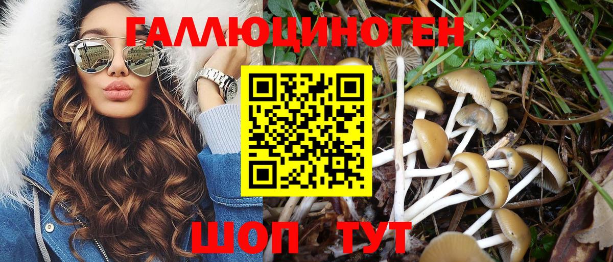 Псилоцибиновые грибы GOLDEN TEACHER Лангепас